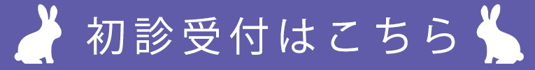 初診受付はこちら